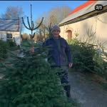 Hugh Barrett - @hughbchristmastrees - Instagram