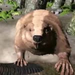 Hugh Mungus Beaver - @giant_beaver463 - Instagram
