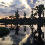 Hugh Bennett - @hughbennett11 - Instagram