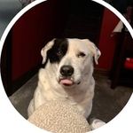 Hugh Bennett - @hugh_bennett_1 - Instagram