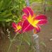 Hugh Blackwell - Facebook