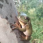 Hugh Blackwell - @hughblackwell43 - Instagram