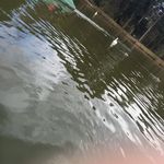 Hughboone - @hughboone - Instagram
