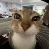 Hughes Brody - @hughesbrody008 - TikTok