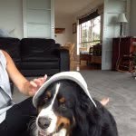 Hugh Cornish - @hughcornish - Instagram