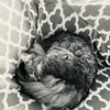 hugo.cote - @ben.boss432 - TikTok