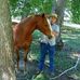 Hugh Simmons - Facebook