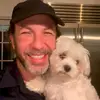 Hugh David - @joag733 - TikTok