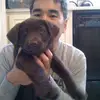 Hugh David - @hugh.david6 - TikTok