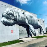 hugh denton - @hugh.man.nature - Instagram