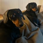 Hugh Fleck - Facebook