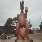 Hugh Gardner - @hughgardna - Instagram