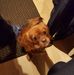 Hugh Glover - Facebook