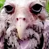 Hugh Griffiths - @hughgriffiths.93 - TikTok