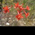 @hughhawkinsn - Instagram