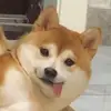 Hugh.Kemp - @hughkempduczwmko - TikTok