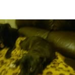 Hugh Kirkpatrick - Facebook