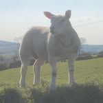 Hughkirkpatrick03 - @hughkirkpatrick03 - Instagram