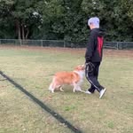Hugh Li - @0424hugh - Instagram