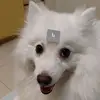 Hugh LI - @hughli8 - TikTok
