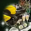 hughlott - @hughlott - TikTok