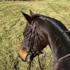 kathleenmchughlyons - @kathleenmchughlyons - TikTok