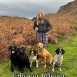 Hugh MacDougall - @hugh_macdougall - Instagram