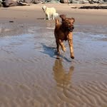 Hughina MacLeod MacDougall - @hughinamacdougall - Instagram