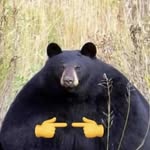Hugh Main - @not_a_bear_promise - Instagram
