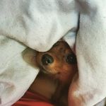 Hugh Anthony Masters - @hughmasters09 - Instagram