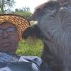 Hugh McDaniel - @hughbramptonfarm - TikTok