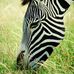 Hugh McElroy - Facebook