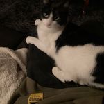 Hugh McElroy - @hugh.mcelroy - Instagram