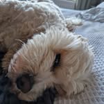 Hugh Mckenzie - @hugh.mckenzie.1044 - Instagram