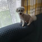 Hugh Mckenzie Vass - @vasshughmckenzie - Instagram