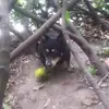 Hugh Mclellan - @hugh.mclellan - TikTok