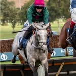 hugh McLeod - @hughmcleod01 - Instagram