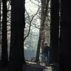 hugh.mcveigh - @hugh.mcveigh - TikTok