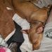 Hugh Messer - Facebook