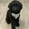 Hugo Moss - @hugo.moss2 - TikTok