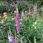 Hugh Patterson - @hughdpatterson - Instagram