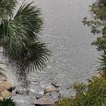 Hugh Patterson - @steffichunhua - Instagram