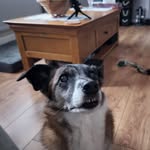 Hugh Powell - @hughpowell65 - Instagram
