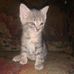 Raymond Mchugh - Facebook