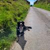 hughoreilly60 - @hughoreilly60 - TikTok