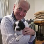 Hugh Ross - @hughevross - Instagram