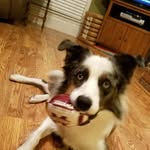 Hugh Shaw - @hughshaw4 - Instagram