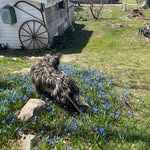 Hugh Small - @hughsmall1943 - Instagram