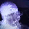 KingKronik420 - @travishughs - TikTok