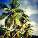 Hugh_Willard_ - @hugh_willard_i - Instagram